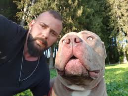Maybe you would like to learn more about one of these? Veterinaramt Beschlagnahmt Hunde In Andwil Sg Blick