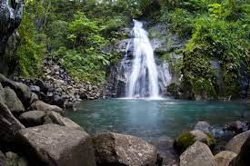 It is a unesco world heritage centre site, with. Coco Island National Park Costa Rica City Guide Go Visit Costa Rica