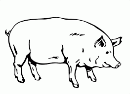 Printable pictures of the cutest pigs family! Free Printable Pig Coloring Pages For Kids Peppa Pig Colouring Animal Coloring Pages Coloring Pages