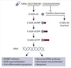 Image result for Decitabine