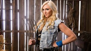 Pin On Wwe