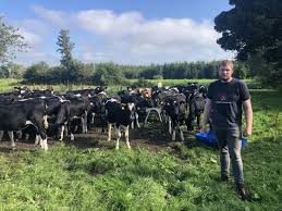 Farmer Phil: His cattle enterprise is this week's Beef Focus