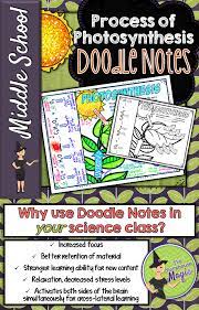 Plant and animal cell coloring page tammy morehouse answer key. This Is A Graphic Organizer In Which Students Can Identify Define And Organize The Steps Of Ph Science Doodles Middle School Science Experiments Doodle Notes