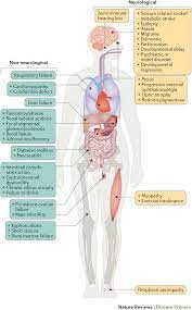 Mitochondrial Diseases Nature Reviews Disease Primers