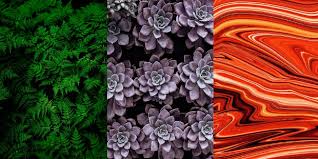 Peki evinizde hangi taşlar nasıl kullanılmalı? Renklerin Psikolojisi 9 Rengin Insanlar Uzerindeki Etkileri