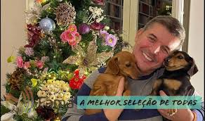 Hortas, lagar, adega e 5 estufas com o total de 2000 m2. Na Casa De Joao Baiao Ja E Natal Uma Arvore Especial Fama Radio