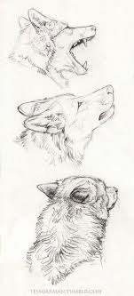 Pencil Drawing Made Easy Drawing Pencildrawing Art Learn To Draw Like A Master Artist Drawing Animal Sketches Animal Drawings Drawing Sketches