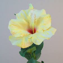 Bs amor qs sales artificial ivy garland maple leaves hanging vine creeper plants bunch for home decor maindoor wall door balcony office decoration party festival craft orange hibiscus artificial flower. Artificial Hibiscus Flower And Bud Yellow Artificial Flowers