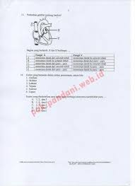 Soal Usbn Biologi Sma 2017 Pdf Ilmusosial Id