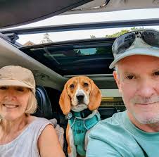 Will e-hybrid page return after radio replacement?