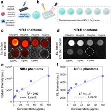 3D Tumor-Mimicking Phantom Models for Assessing NIR III Nanoparticles in  Fluorescence-Guided Surgical Interventions | bioRxiv
