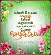 Pin Di Bible Verses My Likes In Tamil