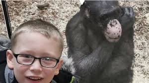 Tommy shows pedal power to help Twycross Zoo