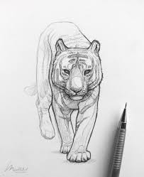 Crazy 3d pencil art realistic animal drawings realistic. Tiger Pencil Sketch Animal Drawings Sketches Art Animal Drawings