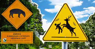 Kulihat dia tambah keras desisannya dan kedua kakinya dirapatkan ke kaki kiriku. Tahukahanda Aneka Papan Tanda Haiwan Melintas Seluruh Dunia Cute766