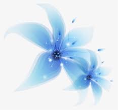 Large collections of hd transparent flower png images for free download. Bloom Flower Frame Border Flowers White Bouquet Light Blue Flowers Png Transparent Png 1024x1024 Free Download On Nicepng