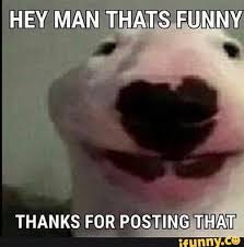 Thanks For Posting Mm Ifunny Stupid Memes Funny Memes Reactions Meme