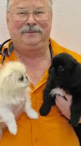 Lee Chenault Obituary (2022)