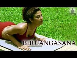 10 Effective Yoga Poses For Women Over 60 Yoga Poses Easy Yoga Workouts Easy Yoga