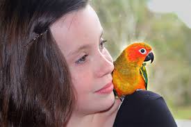 Natural Coconut Bedding and Substrate