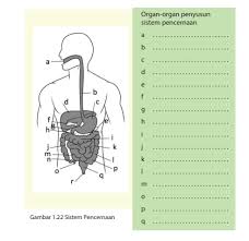 2 kelas ix smpmts semester 2 setiap wilayah di belahan bumi mengalami perubahan musim setiap tahunnya. Jawaban Buku Paket Ipa Kelas 7 Semester 2 Halaman 27 Belajar Ipa Bersama
