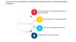 Facteur de recuperation maximiser l efficacite des reserves probables -  FasterCapital