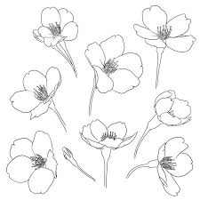 Designer Floral Drawing Flower Sketches Flower Drawing