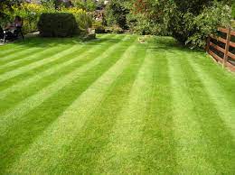 Lawn Mowing Techniques Outdoortheme Com Seeding Lawn Lawn And Garden Landscape Maintenance