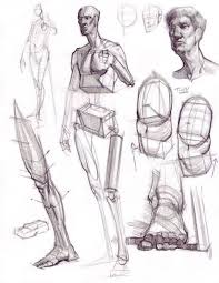 Karakalem Anatomi Model Cizimleri Konya Resim Kursu Anatomy Drawing Anatomy Art Anatomy Sketches