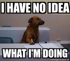 I Have No Idea What I M Studying I Have No Idea What I M Doing Know Your Meme