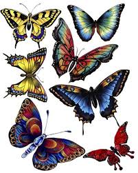 Free Printables Butterflies Lots Of Beautiful Butterfly Graphics Here Butterfly Art Butterfly Images Beautiful Butterflies
