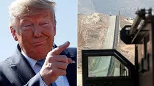 Man shoots son-in-law dead after he jumped out of bushes for 'birthday  surprise'