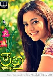 Sinhala Novels Pdf Free Software Nutritionlasopa