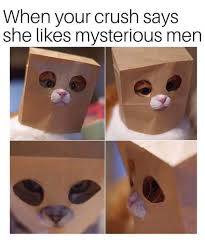 Submitted 1 hour ago by 1000_cats_. Who Is She Meme Cat