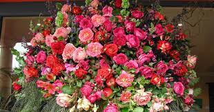Beginners Guide To Flower Arrangement Flower Arrangements Flower Garden Beautiful Flowers