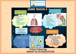 Ittv upsr tahun 4 sains bab 3 proses hidup manusia (pernafasan manusia dan perkumuhan). Pusat Tuisyen Generasi Elit Pintar Smart Elite Academy 1hari1sharing Sains Upsr Tahun 4 Proses Hidup Manusia Terdapat 4 Proses Hidup Manusia 1 Pernafasan 2 Perkumuhan Dan Penyahtinjaan 3 Gerak Balas