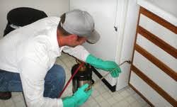 Affordable pest control hours and affordable pest control locations along with phone number and map with driving directions. Pest Control Basking Ridge New Jersey Bed Bug Control Basking Ridge Nj