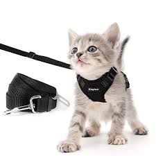 Maybe you would like to learn more about one of these? Buy Abah Abah Kucing Eagloo Dan Tali Yang Ditetapkan Untuk Berjalan Melarikan Diri Bukti Dengan 2 In 1 Tali Dan Kusyen Kereta Pinggang Laras Abah Abah Untuk Vest Kucing Kucing Mesh Lembut Dengan Mencerminkan Tali Untuk