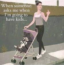 It Is None Of Your Business Why We Have Not Reproduced Funny Dog Mom Funny Memes