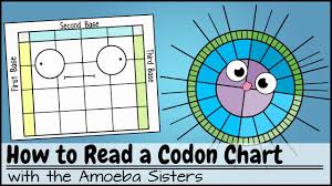 How To Read A Codon Chart