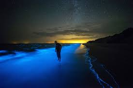 Maybe you would like to learn more about one of these? Miri Tusan Beach Is A Stunning Neon Blue Colour Due To Algae Presence