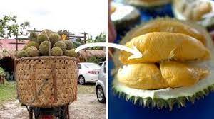 Menjual pelbagai jenis durian balik pulau gred terbaik. 8 Places For Durian Lovers To Indulge In Penang 2019 Guide Penang Foodie
