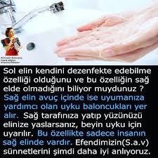 Sagliklibeslenme Saglikliyasam Spor Beslenme Mutluluk Turkiye Izmir Guzellik Ciltbakimi Dogalyasami Cil Biliyor Muydunuz Gercekler Pozitif Psikoloji