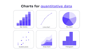 Visualizing Quantitative Data: Best Practices - Ajelix