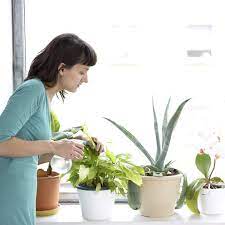 The 5 Best Hacks To Keep Your Plants Alive Plants Pinterest Plant Balcony Garden