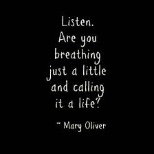 Mary Oliver Asks The Most Important Life Question Kelly Epperson Simmons