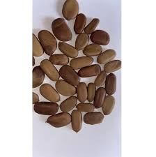 Image result for Caesalpinia sappan