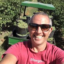 Astro Bunny Pet Nat 2019 Pet Nat 2020