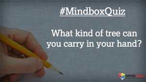 Which Tree You Can Carry In Your Hand Mindbox Riddle Quiz Mindfulness Animated Characters