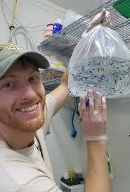 Como Zoo Releases One of North America's Most Critically Endangered  Amphibians Back into the Wild